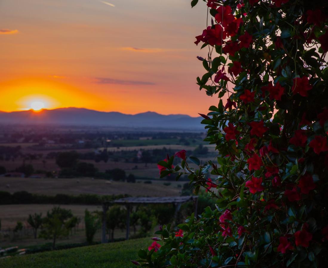 Podere N.8 Bio Casale Maremma Alberese Buitenkant foto